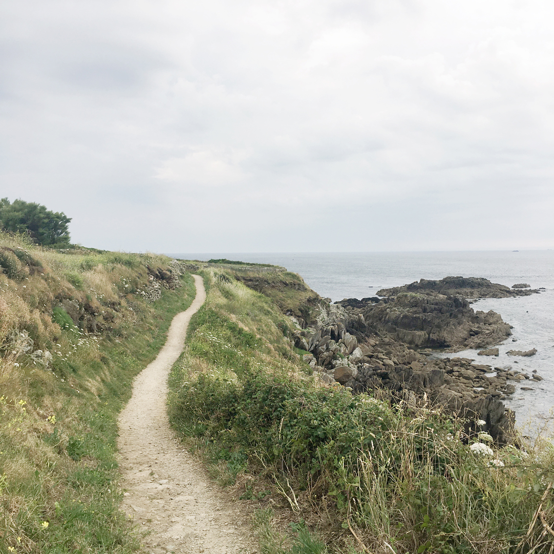 Brut landscape along the cliffs